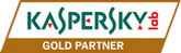 Caspersky Gold Partner